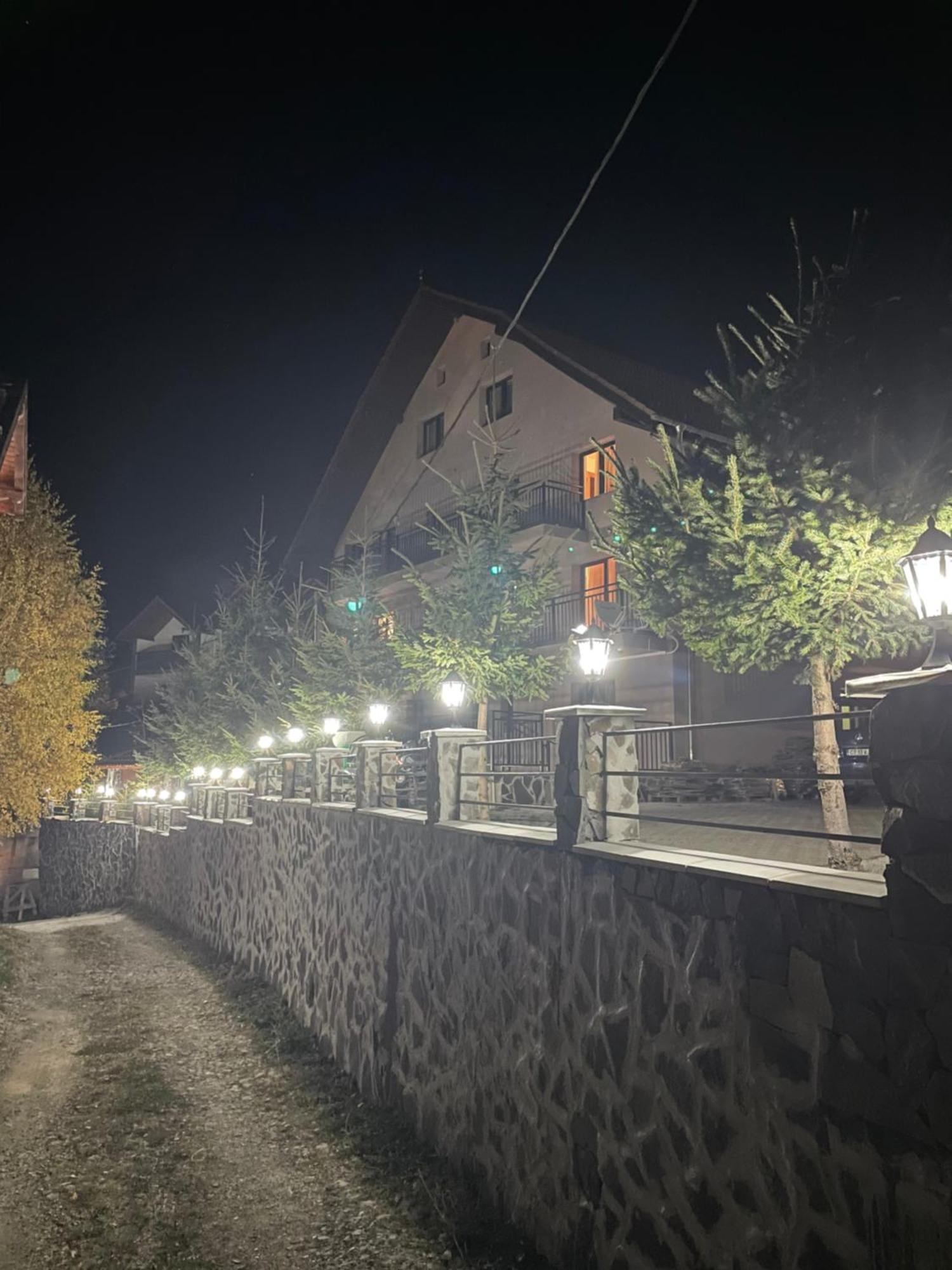 Pensiunea Joe Păltiniş Dış mekan fotoğraf