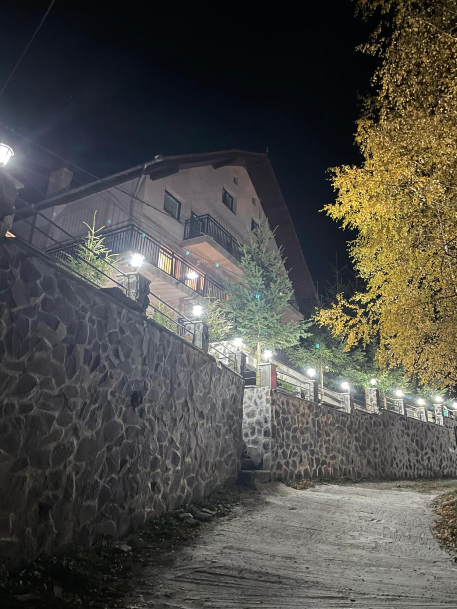 Pensiunea Joe Păltiniş Dış mekan fotoğraf